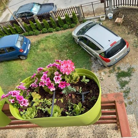 Apartmants Djekovi 奥赫里德 外观 照片